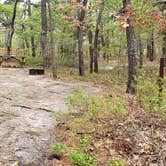 Review photo of Wellfleet Hollow State Park Campground by Jean C., May 30, 2020