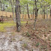 Review photo of Wellfleet Hollow State Park Campground by Jean C., May 30, 2020