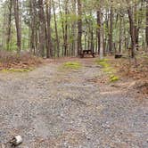 Review photo of Wellfleet Hollow State Park Campground by Jean C., May 30, 2020