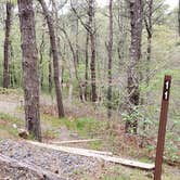 Review photo of Wellfleet Hollow State Park Campground by Jean C., May 30, 2020