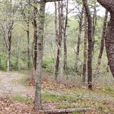 Review photo of Wellfleet Hollow State Park Campground by Jean C., May 30, 2020