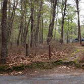 Review photo of Wellfleet Hollow State Park Campground by Jean C., May 30, 2020