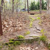 Review photo of Wellfleet Hollow State Park Campground by Jean C., May 30, 2020