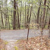 Review photo of Wellfleet Hollow State Park Campground by Jean C., May 30, 2020