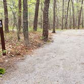 Review photo of Wellfleet Hollow State Park Campground by Jean C., May 30, 2020