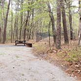 Review photo of Wellfleet Hollow State Park Campground by Jean C., May 30, 2020