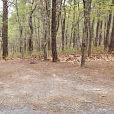 Review photo of Wellfleet Hollow State Park Campground by Jean C., May 30, 2020