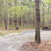 Review photo of Wellfleet Hollow State Park Campground by Jean C., May 30, 2020