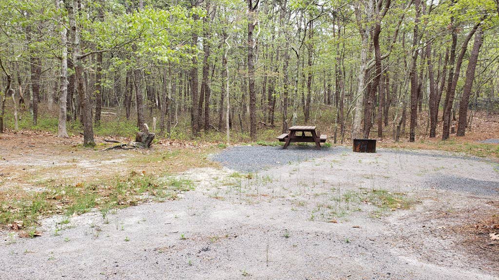 Wellfleet Hollow State Campground