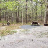 Review photo of Wellfleet Hollow State Park Campground by Jean C., May 30, 2020