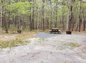 Wellfleet Hollow State Campground