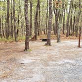 Review photo of Wellfleet Hollow State Park Campground by Jean C., May 30, 2020