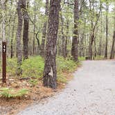 Review photo of Wellfleet Hollow State Park Campground by Jean C., May 30, 2020