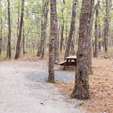 Review photo of Wellfleet Hollow State Park Campground by Jean C., May 30, 2020