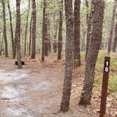 Review photo of Wellfleet Hollow State Park Campground by Jean C., May 30, 2020