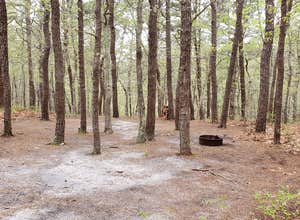 Wellfleet Hollow State Campground