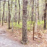 Review photo of Wellfleet Hollow State Park Campground by Jean C., May 30, 2020