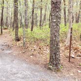 Review photo of Wellfleet Hollow State Park Campground by Jean C., May 30, 2020