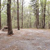 Review photo of Wellfleet Hollow State Park Campground by Jean C., May 30, 2020