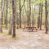 Review photo of Wellfleet Hollow State Park Campground by Jean C., May 30, 2020