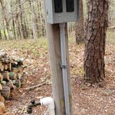 Review photo of Wellfleet Hollow State Park Campground by Jean C., May 30, 2020