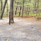 Review photo of Wellfleet Hollow State Park Campground by Jean C., May 30, 2020