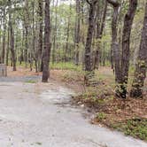 Review photo of Wellfleet Hollow State Park Campground by Jean C., May 30, 2020