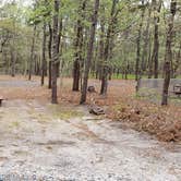 Review photo of Wellfleet Hollow State Park Campground by Jean C., May 30, 2020