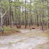 Review photo of Wellfleet Hollow State Park Campground by Jean C., May 30, 2020