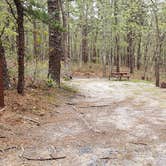 Review photo of Wellfleet Hollow State Park Campground by Jean C., May 30, 2020