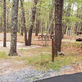 Review photo of Wellfleet Hollow State Park Campground by Jean C., May 30, 2020