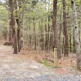 Review photo of Wellfleet Hollow State Park Campground by Jean C., May 30, 2020