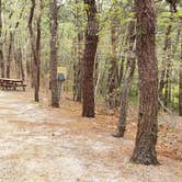 Review photo of Wellfleet Hollow State Park Campground by Jean C., May 30, 2020