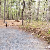 Review photo of Wellfleet Hollow State Park Campground by Jean C., May 30, 2020