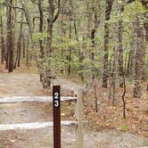 Review photo of Wellfleet Hollow State Park Campground by Jean C., May 30, 2020