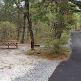 Review photo of Wellfleet Hollow State Park Campground by Jean C., May 30, 2020