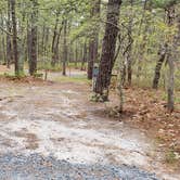 Review photo of Wellfleet Hollow State Park Campground by Jean C., May 30, 2020