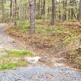 Review photo of Wellfleet Hollow State Park Campground by Jean C., May 30, 2020