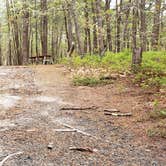 Review photo of Wellfleet Hollow State Park Campground by Jean C., May 30, 2020