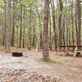 Review photo of Wellfleet Hollow State Park Campground by Jean C., May 30, 2020