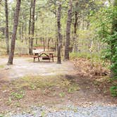 Review photo of Wellfleet Hollow State Park Campground by Jean C., May 30, 2020