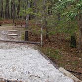 Review photo of Wellfleet Hollow State Park Campground by Jean C., May 30, 2020