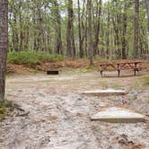 Review photo of Wellfleet Hollow State Park Campground by Jean C., May 30, 2020