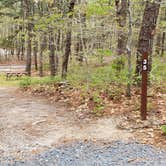 Review photo of Wellfleet Hollow State Park Campground by Jean C., May 30, 2020