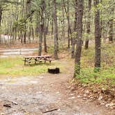 Review photo of Wellfleet Hollow State Park Campground by Jean C., May 30, 2020