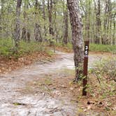 Review photo of Wellfleet Hollow State Park Campground by Jean C., May 30, 2020