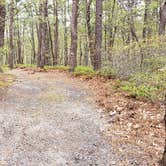 Review photo of Wellfleet Hollow State Park Campground by Jean C., May 30, 2020