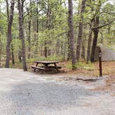 Review photo of Wellfleet Hollow State Park Campground by Jean C., May 30, 2020