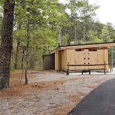 Review photo of Wellfleet Hollow State Park Campground by Jean C., May 30, 2020