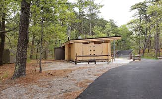 Jean C.'s photo of a cabin at Wellfleet Hollow State Campground near Barnstable Town, MA